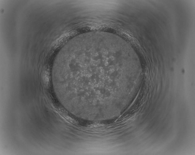 X0000067870691200604201218