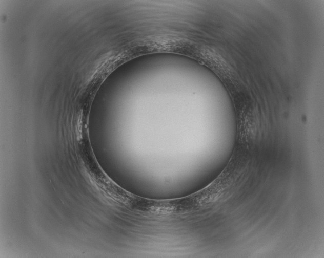 X0000067870694200604201218