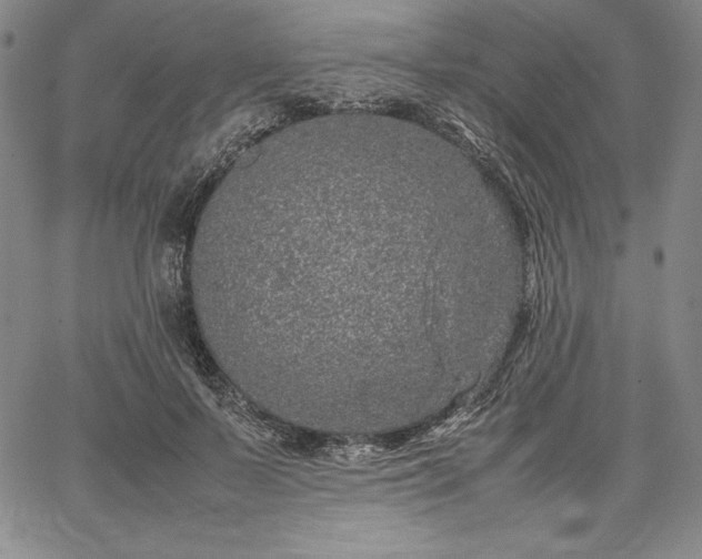 X0000067870695200604201218