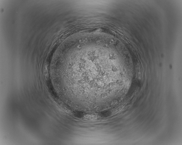 X0000067870699200604201218