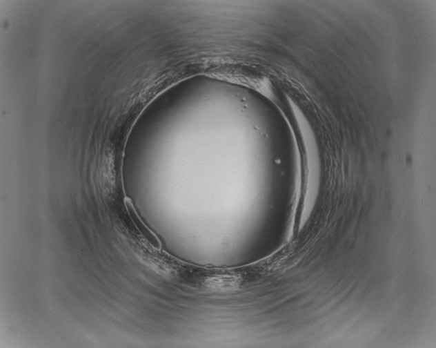 X0000067870700200604201218