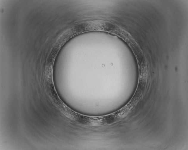 X0000067870701200604201218