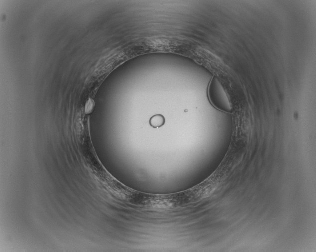 X0000067870702200604201218