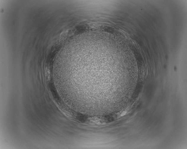 X0000067870703200604201218