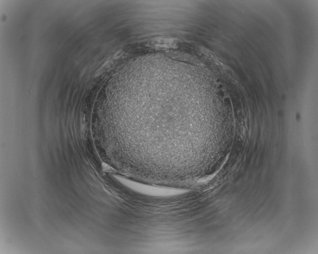 X0000067870704200604201218