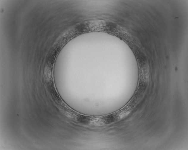 X0000067870705200604201218