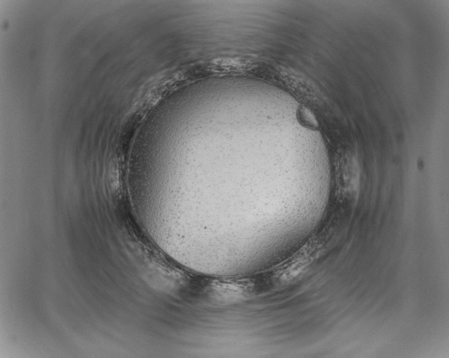 X0000067870706200604201218