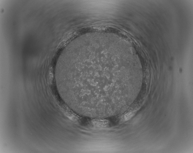 X0000067870707200604201218