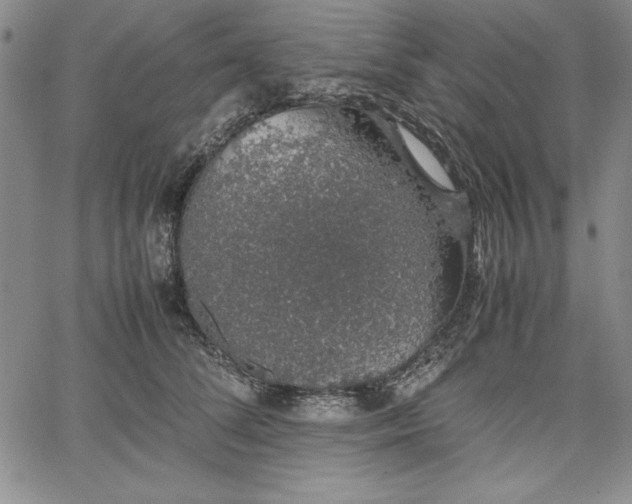 X0000067870708200604201218