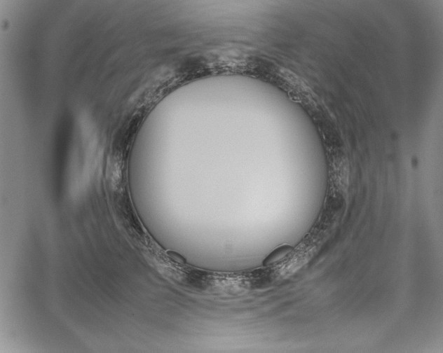 X0000067870709200604201218