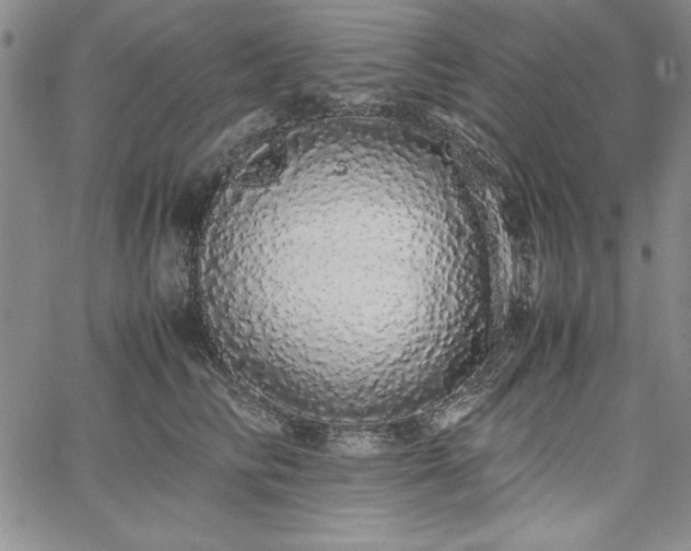 X0000067870710200604201218