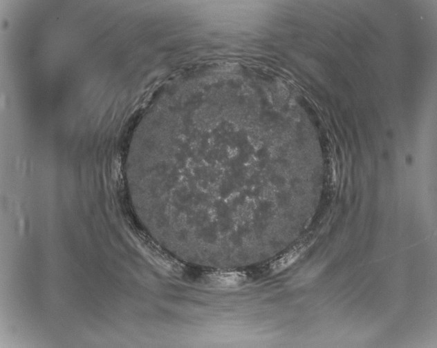 X0000067870711200604201218