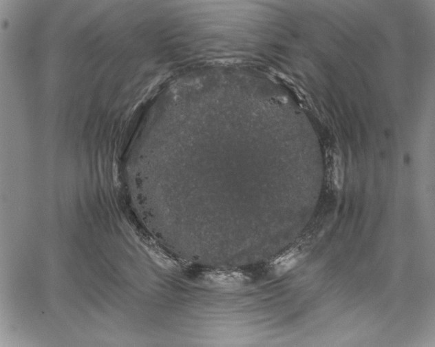 X0000067870712200604201218