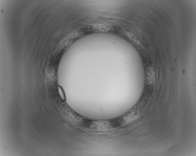 X0000067870713200604201218