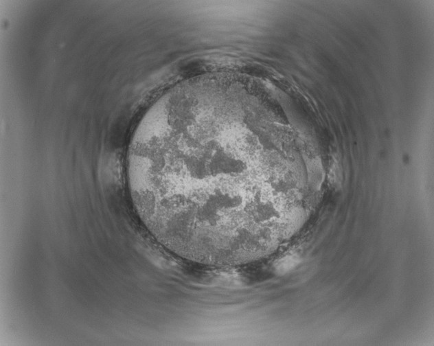 X0000067870715200604201218