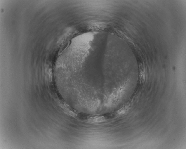 X0000067870716200604201218