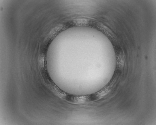 X0000067870717200604201218