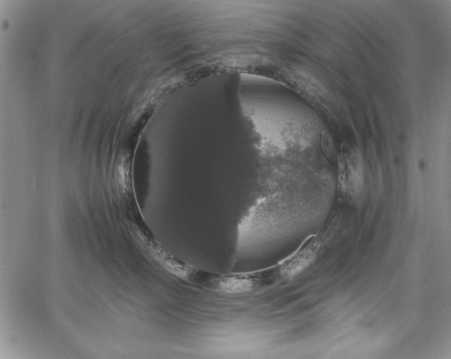 X0000067870718200604201218