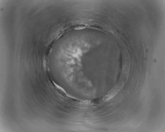 X0000067870720200604201218