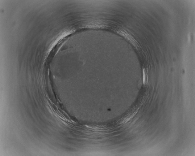 X0000067870723200604201217