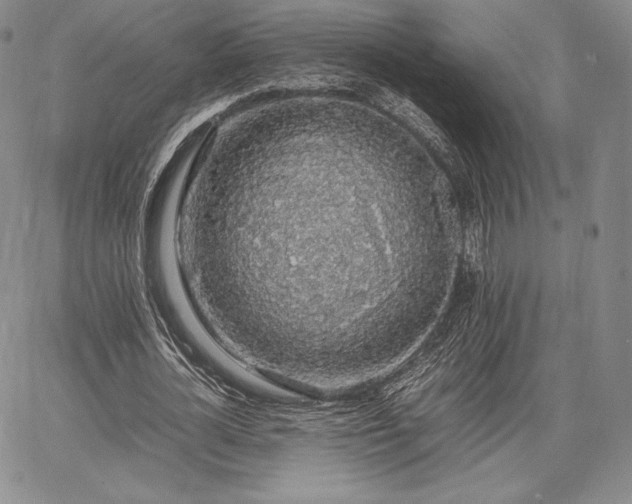 X0000067870724200604201217