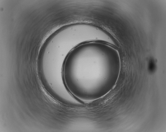 X0000067870726200604201217