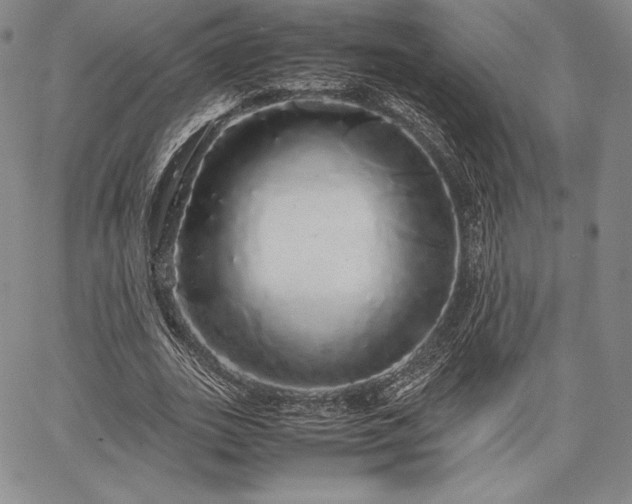 X0000067870727200604201217