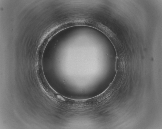 X0000067870728200604201217