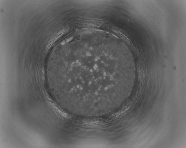 X0000067870729200604201217