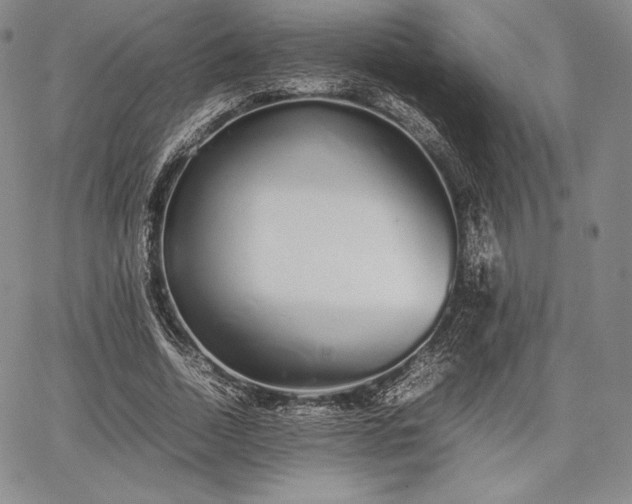 X0000067870730200604201217