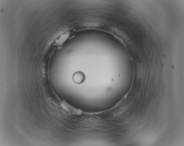 X0000067870731200604201217