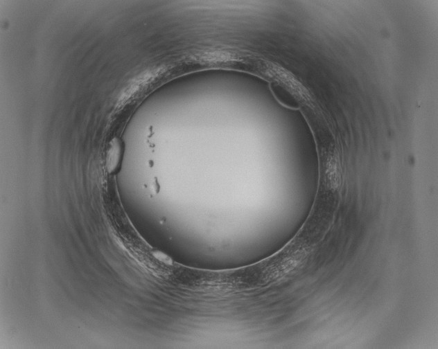 X0000067870732200604201217