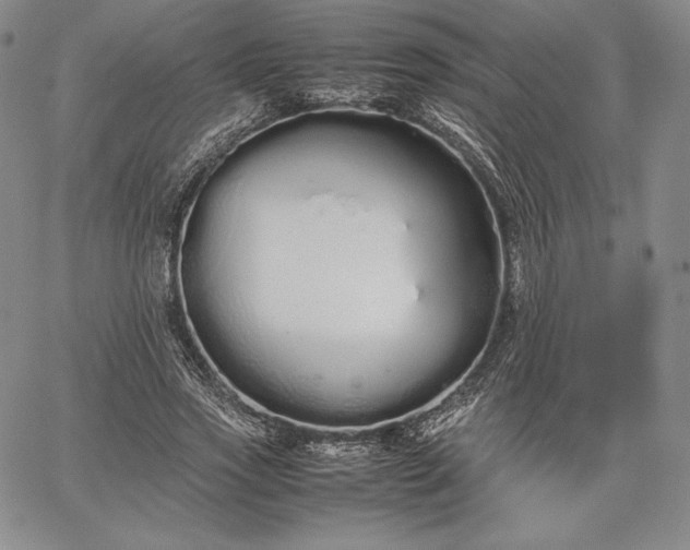 X0000067870733200604201217