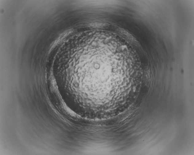 X0000067870734200604201217