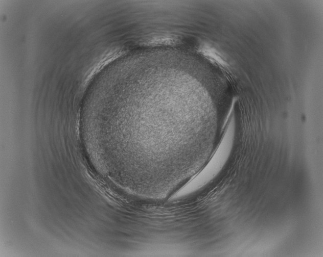 X0000067870735200604201217