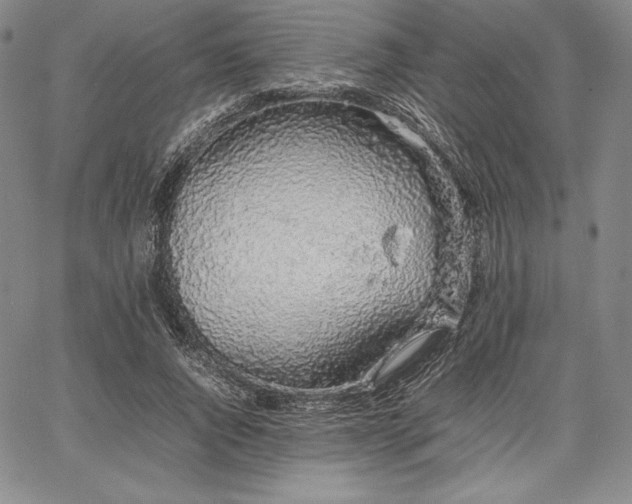 X0000067870736200604201217