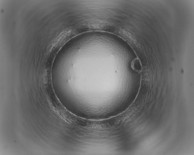 X0000067870738200604201217