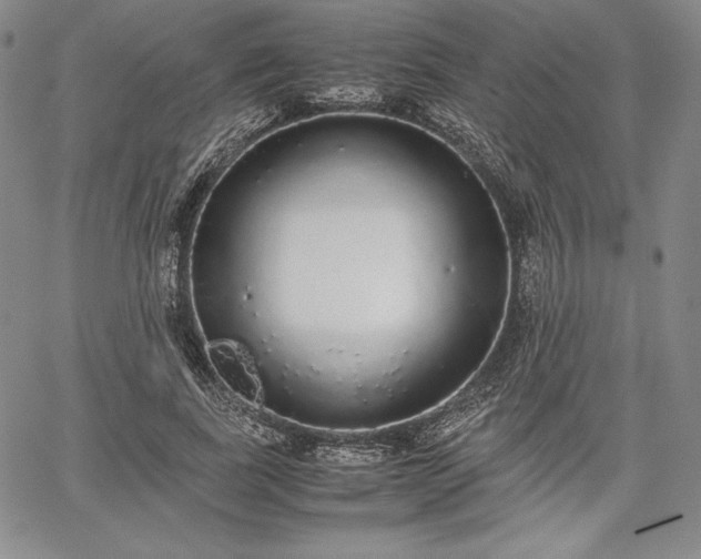 X0000067870739200604201217