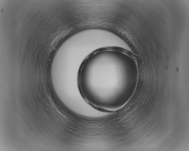 X0000067870740200604201217