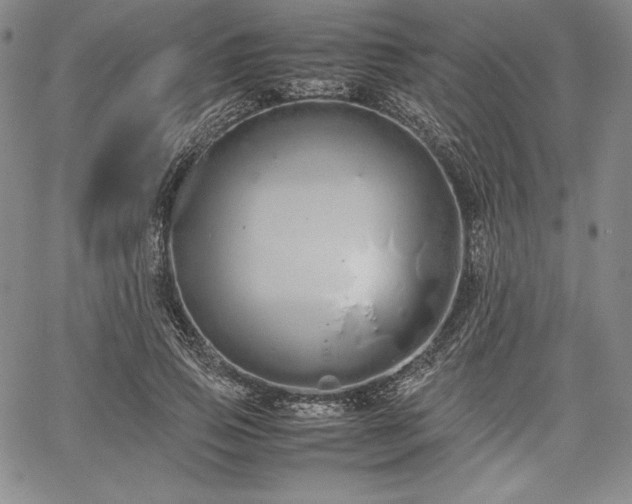 X0000067870741200604201217