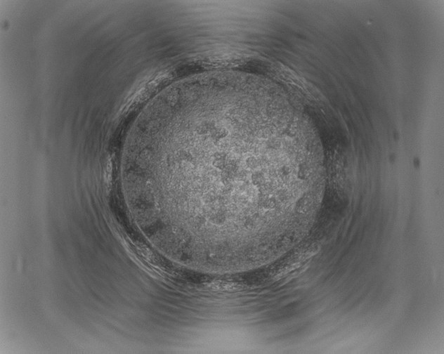 X0000067870742200604201217