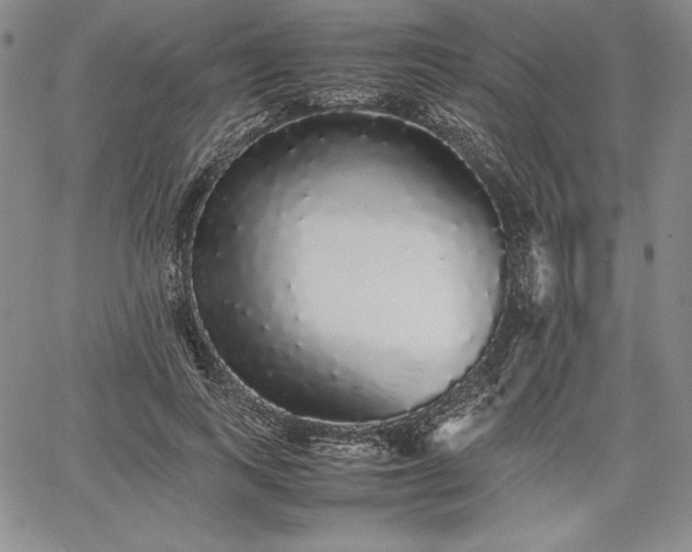 X0000067870743200604201217