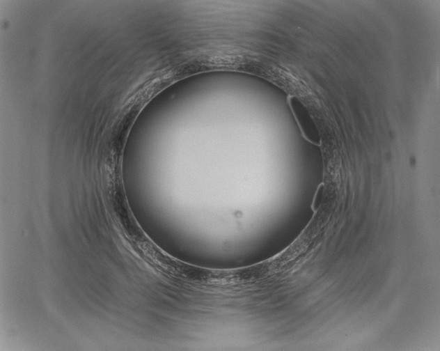 X0000067870744200604201217