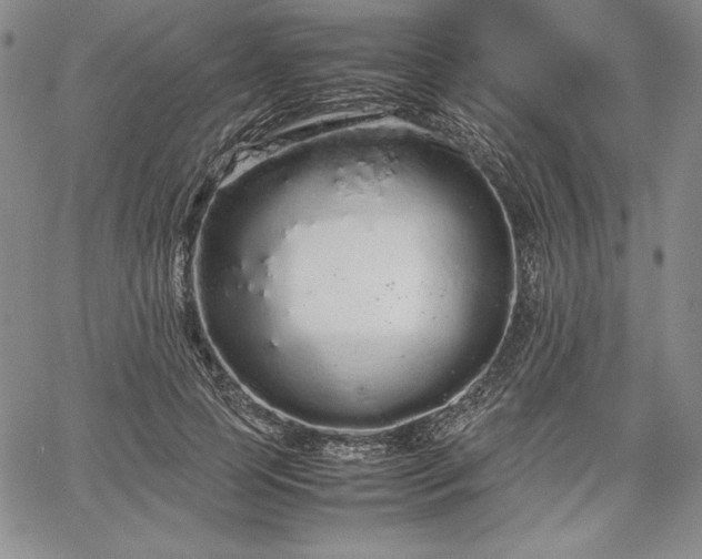 X0000067870745200604201217