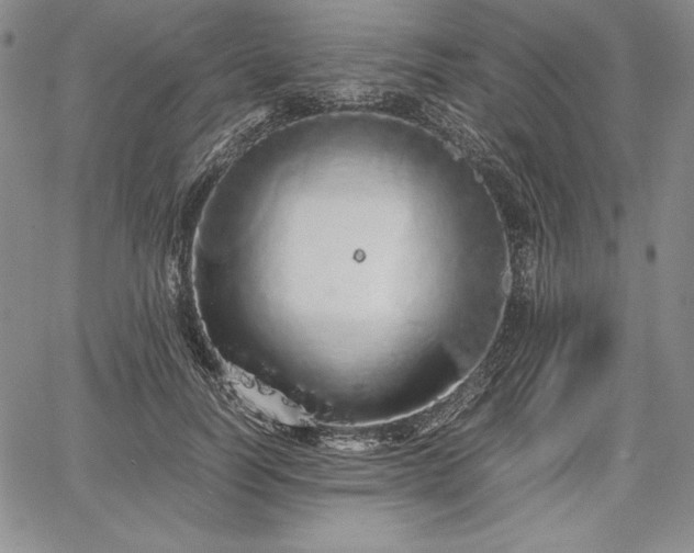 X0000067870746200604201217