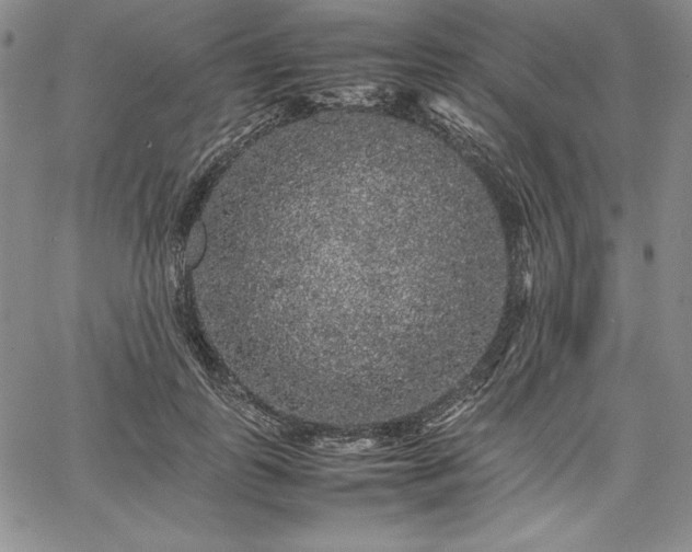 X0000067870747200604201217