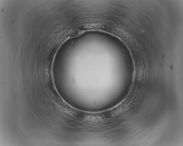 X0000067870749200604201217