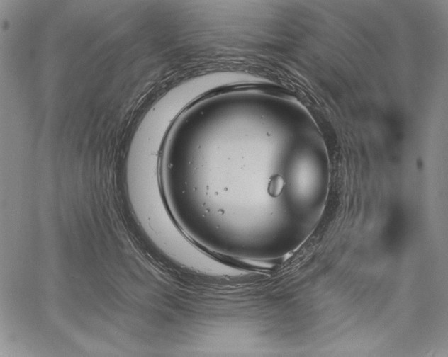 X0000067870750200604201217