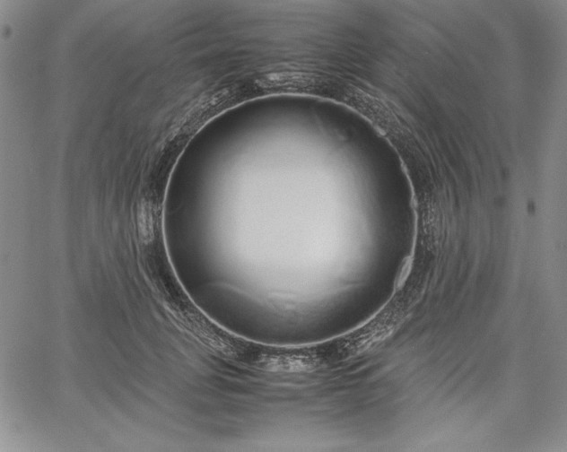 X0000067870751200604201217