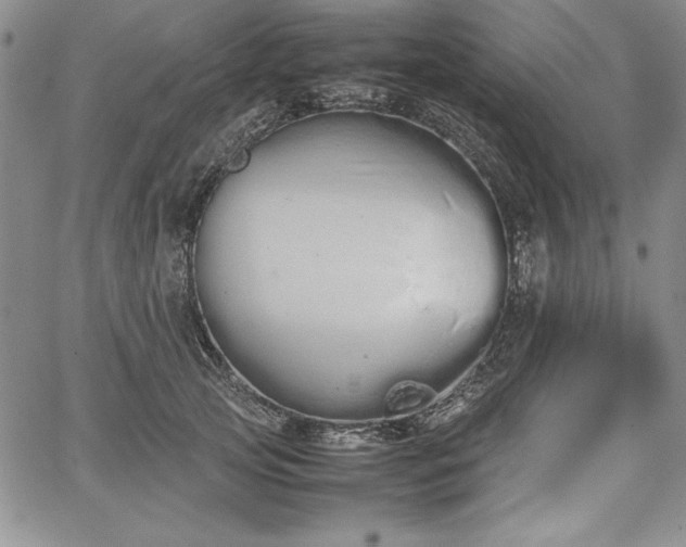 X0000067870753200604201217